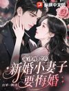 陈律师,您的新婚小妻子要悔婚