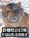 直播赶山日常:开局给东北虎接生