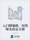 入门即巅峰,校花曝光我是天骄