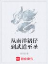 从南洋猪仔到武道至圣