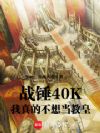 ս��40K������Ĳ��뵱�̻�