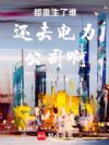 都重生了谁还去电力公司啊