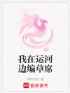 我在运河边编草席