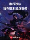 唯我独法:我在明末加点变强