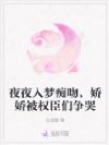 夜夜入梦痴吻,娇娇被权臣们争哭