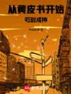 从黄皮书开始苟到成神