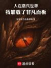 人在蒸汽世界,我加载了非凡面板
